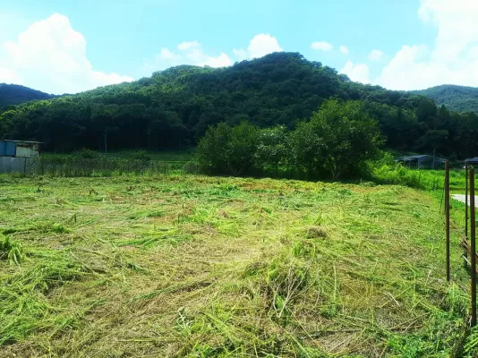 栃木県の案件　除草作業実施