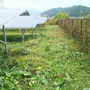 栃木県の案件　除草作業・フェンスの蔦取り作業実施のサムネイル