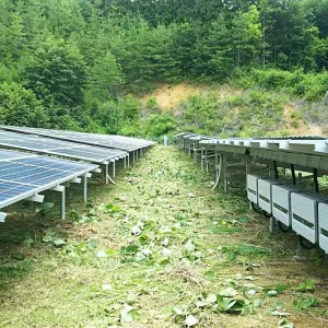 石川県の案件　ソーラーパネル間の除草作業実施のサムネイル