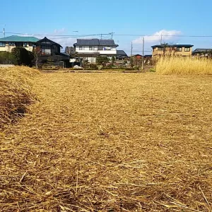 群馬県の案件　除草・集積作業実施のサムネイル