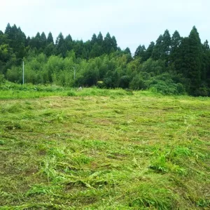 鳥取県の案件　除草作業実施のサムネイル
