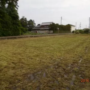三重県の案件　除草・集積作業実施のサムネイル
