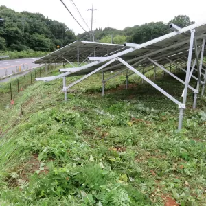 栃木県の案件　除草作業実施のサムネイル