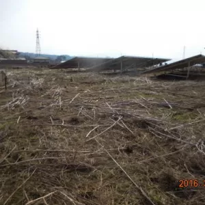 群馬県の案件　除草作業実施のサムネイル