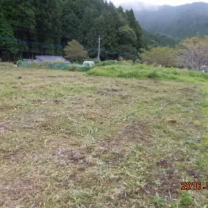 栃木県の案件　除草・集積作業実施のサムネイル