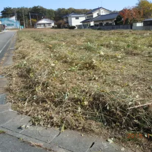 新潟県の案件　除草作業実施のサムネイル