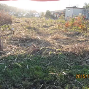 埼玉県の案件　除草作業実施（苗木残し）のサムネイル