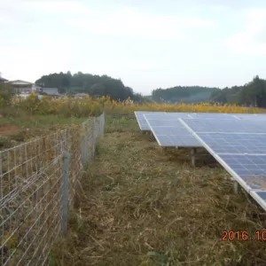 栃木県の案件　除草作業実施のサムネイル
