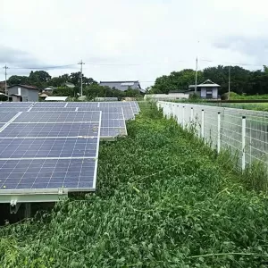 福井県の案件　除草作業実施のサムネイル