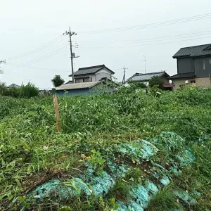 秋田県の案件　除草作業実施のサムネイル