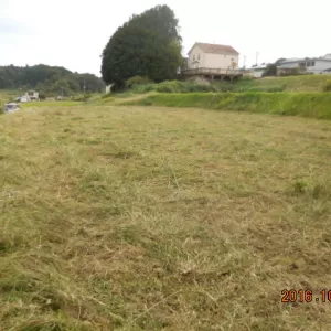 滋賀県の案件　除草作業実施のサムネイル